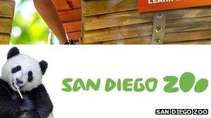 Screengrab of San Diego Zoo website