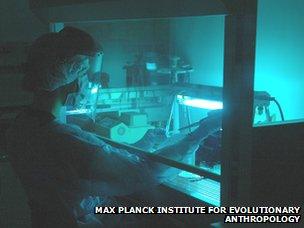 Laboratory for the extraction of ancient DNA.