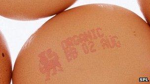 Organic egg