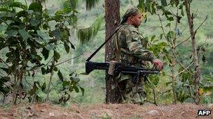 Farc guerrilla (file)