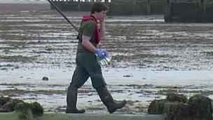 Worthing beach sewage