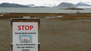 Polar bear warning