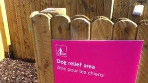 Dog relief area