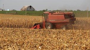 Harvest in Nebraska