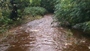 River Clywedog