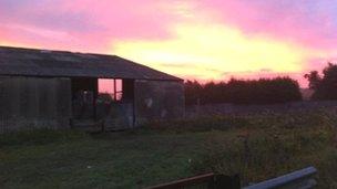 A farm near Peterborough