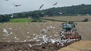 Tractor ploughing