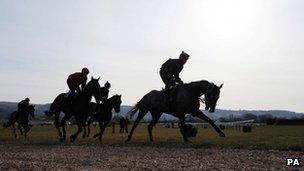 Cheltenham Racecourse