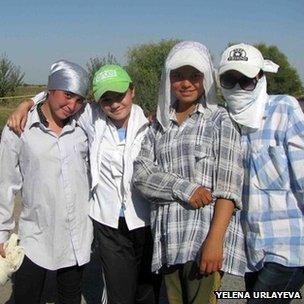 Four young people picking cotton