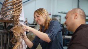 Professor Alice Roberts assembles the Neanderthal skeleton