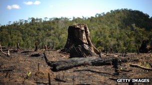 Deforestated land in Madagascar