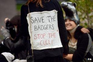 Badger protest, 21 Oct