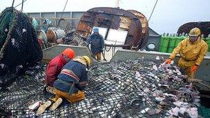 French trawler with cod catch - file pic