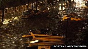 The FDR Drive under water. Photo: Boryana Alexandrova