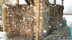 Caroline Snyder's woodpile