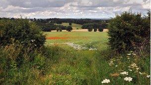 Countryside view in North Yorkshire