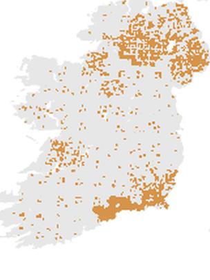 Distribution of ash trees across Ireland