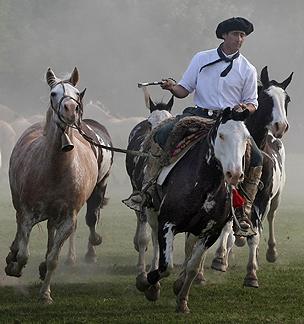 Argentine gaucho