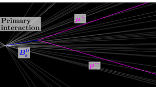 A Bs Meson decays into two muon