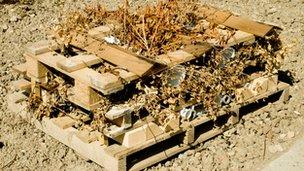 Bug hotel