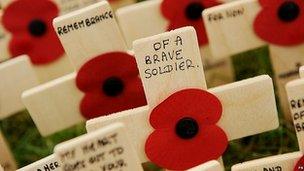 Crosses in the field of remembrance at Lydiard Park