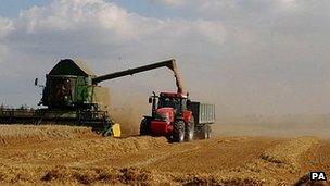 Oat harvest near Cambridge, England - file pic