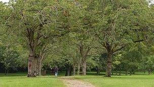 Person walking in Victoria Park