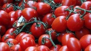 Tomatoes