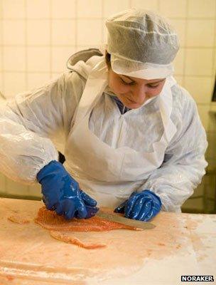 Cook chopping rakfisk