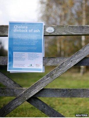 Chalara sign on gate