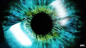 Eye