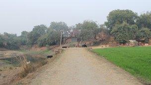 Village in UP