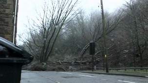 Mud and trees cover the road