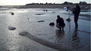 Researchers in the estuary