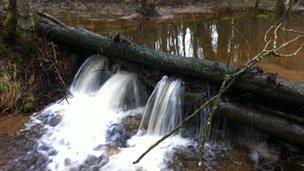 Natural dam designed to slow the flow of flood water