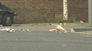 A gull picks at littler on a street in Bath