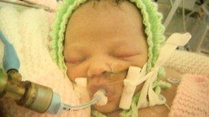 Baby Brook Greenfield