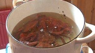 Crabs being boiled