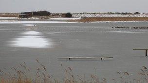 RSPB Minsmere