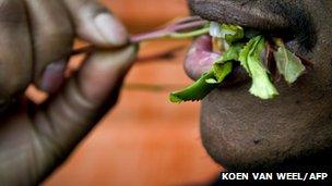 Man chewing khat