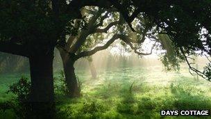 Ebley Linear Community Orchard