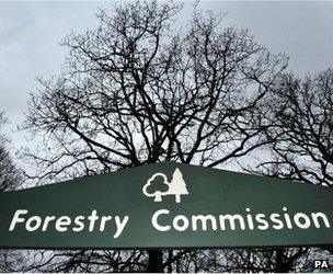 Forestry Commission sign (Image: PA)