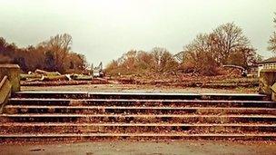 Tree felling in Alexandra Park, Whalley Range