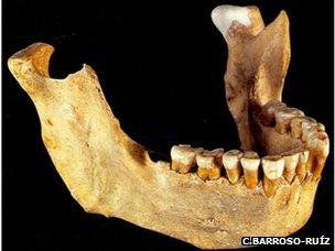 A Neanderthal fossil from Zafarraya