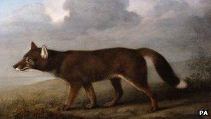 Portrait of a Large Dog by George Stubbs