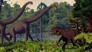 Brachiosauruses and an allosaurus come into conflict