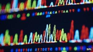 DNA sequence