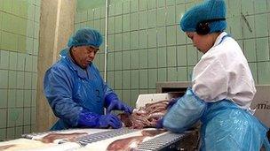 Fish processing in Iceland