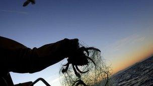 Fisherman holding a spider crab