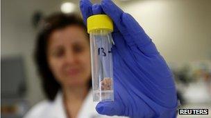 A British laboratory worker prepares a meat sample for testing